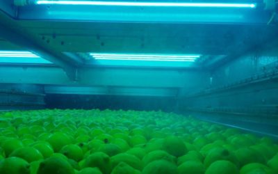 Clean Works promotes waterless fresh produce washing